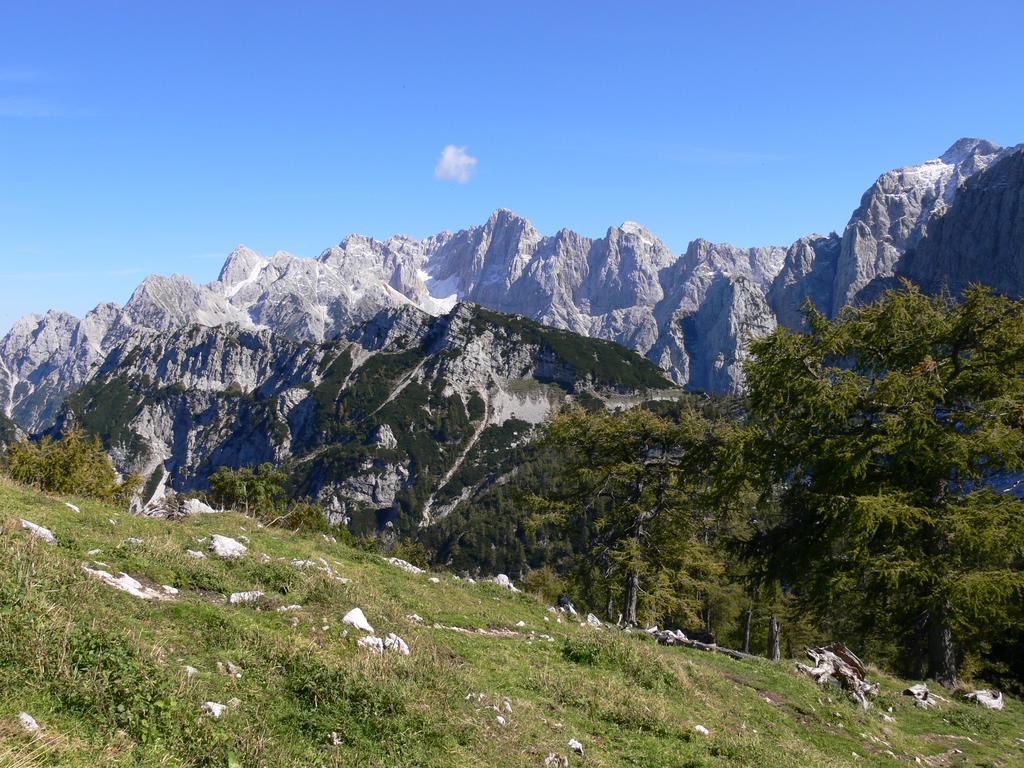 Pod Ponco Apartments Kranjska Gora Eksteriør bilde