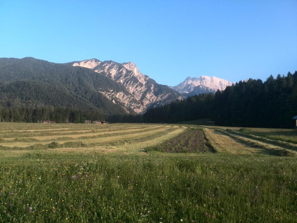 Pod Ponco Apartments Kranjska Gora Eksteriør bilde