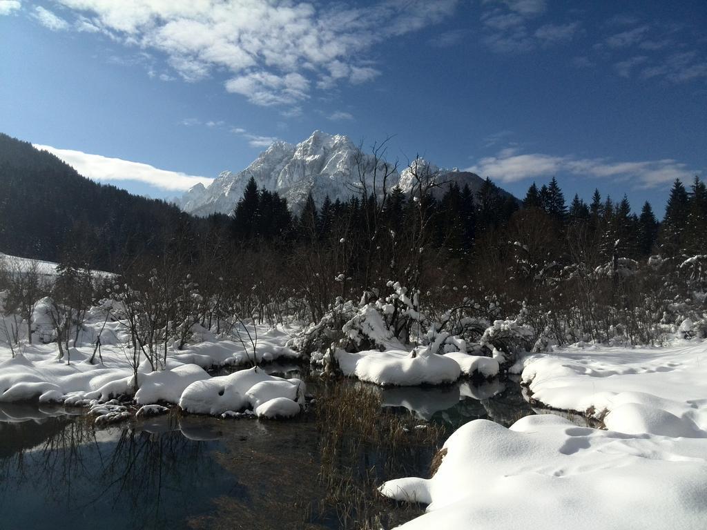 Pod Ponco Apartments Kranjska Gora Eksteriør bilde